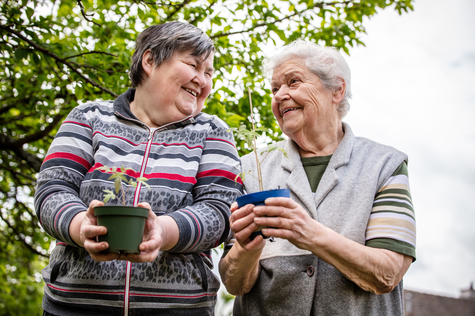 Two smiling older ladies in a garden, both holding seedlings in pots